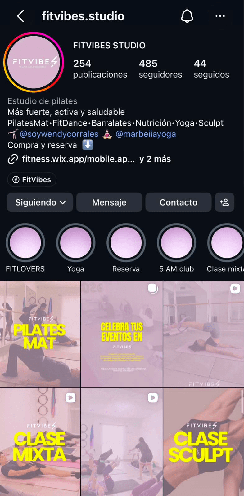 Perfil de Instagram de FITVIBES @fitvibes.studio